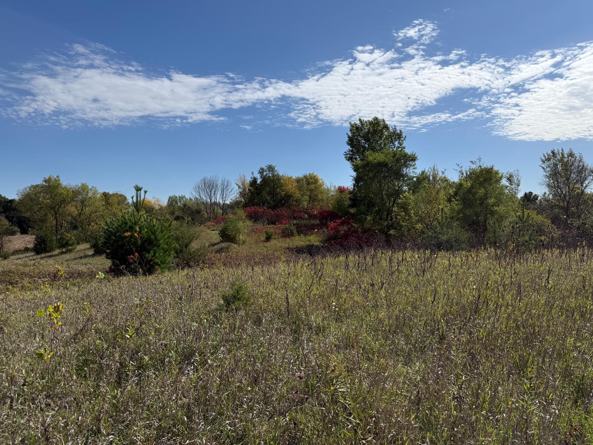 Xxx Canby Property Photo 1