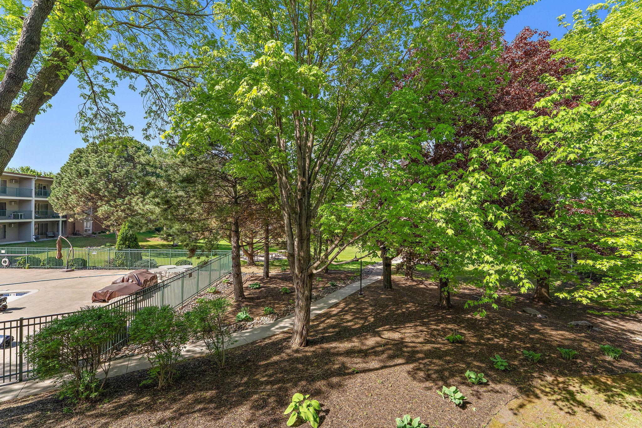 3155 Coachman Road 308 Property Photo 17