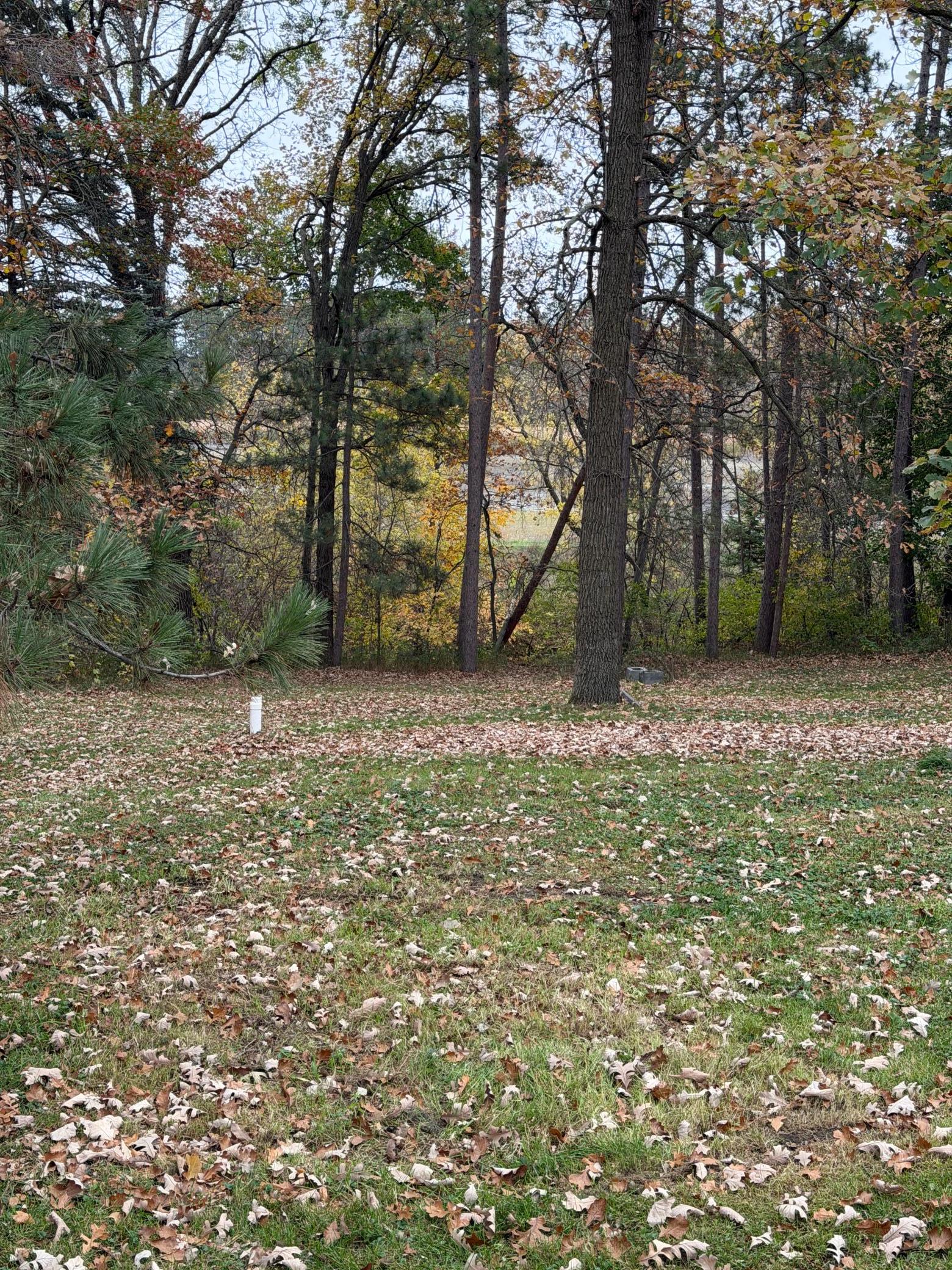 23929 Pine Avenue Property Photo 3