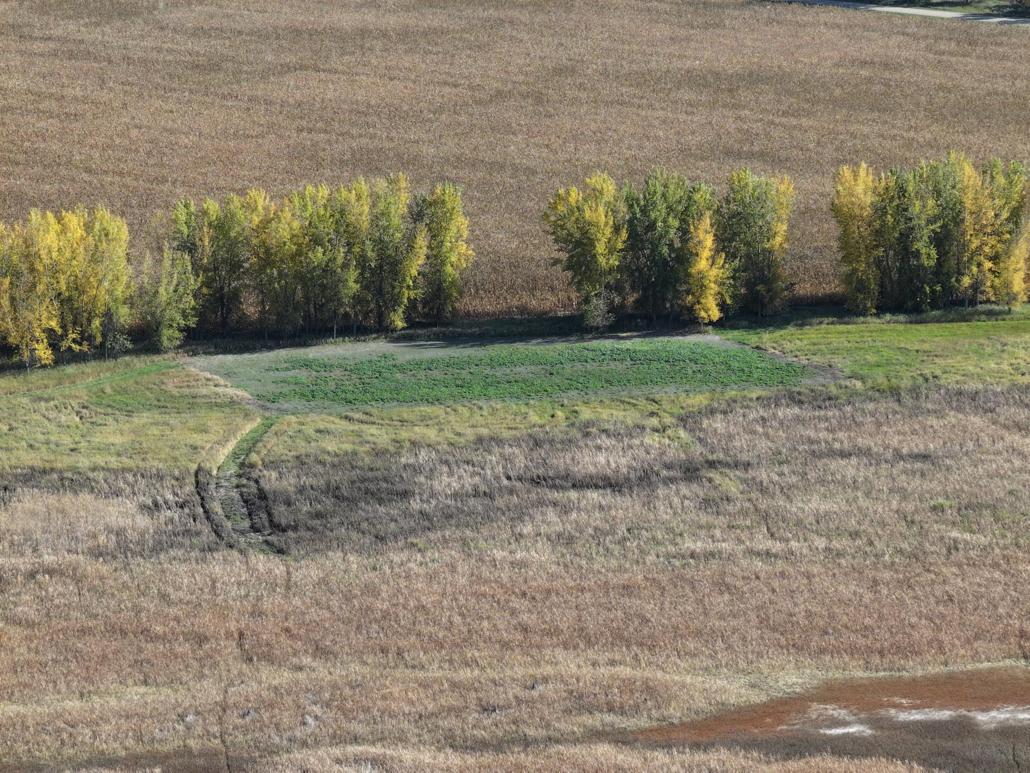Tbd Co Rd 3 Property Photo 2