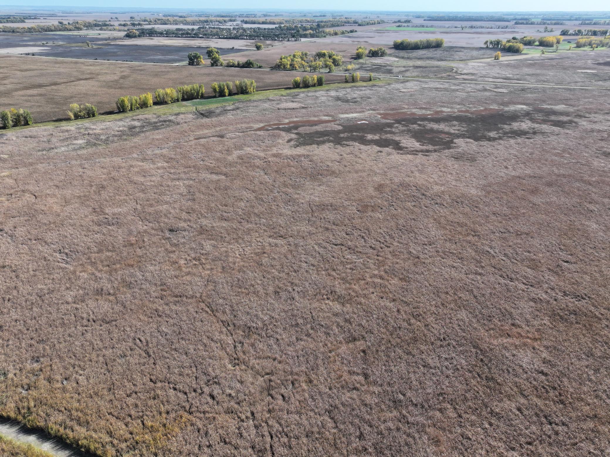 Tbd Co Rd 3 Property Photo 6