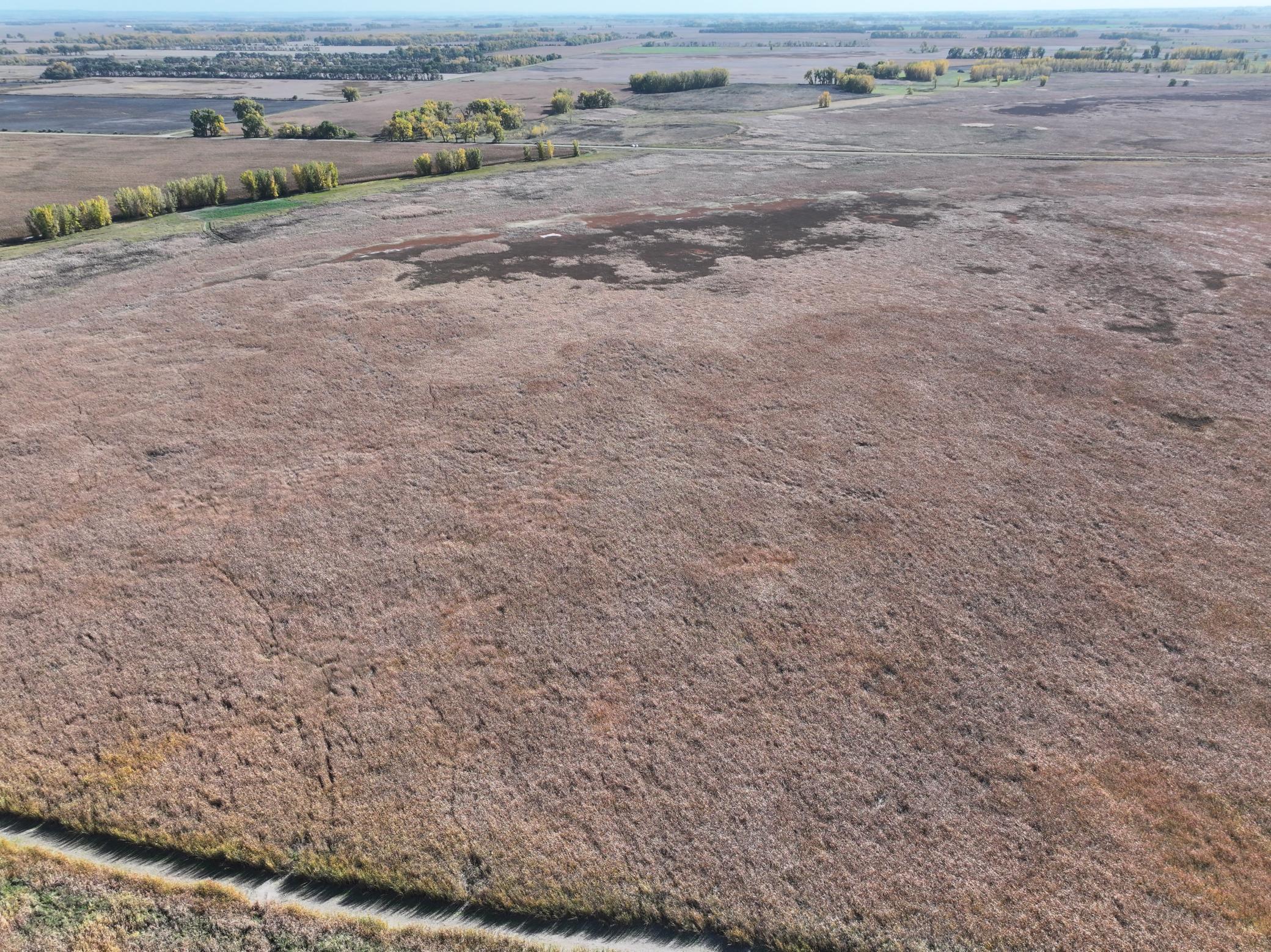 Tbd Co Rd 3 Property Photo 7