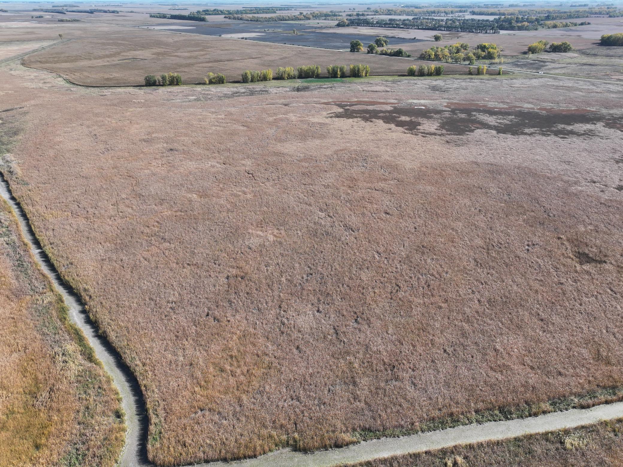 Tbd Co Rd 3 Property Photo 9