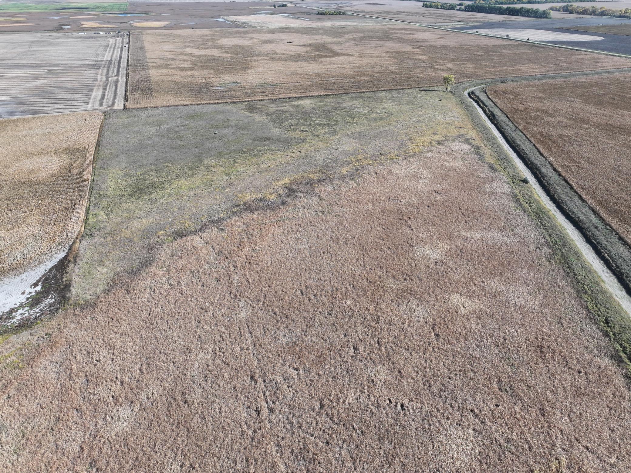 Tbd Co Rd 3 Property Photo 16