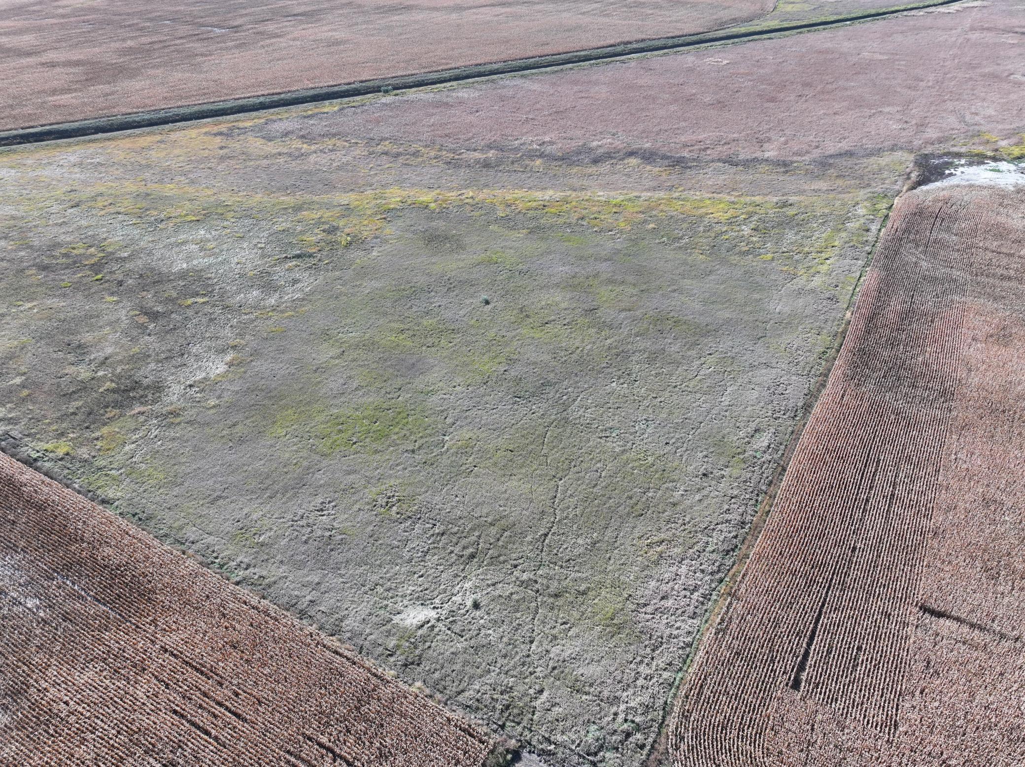 Tbd Co Rd 3 Property Photo 17