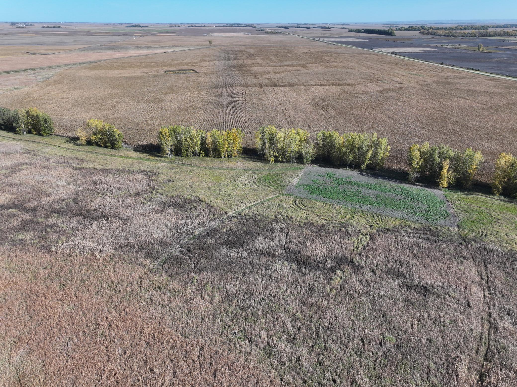 Tbd Co Rd 3 Property Photo 21