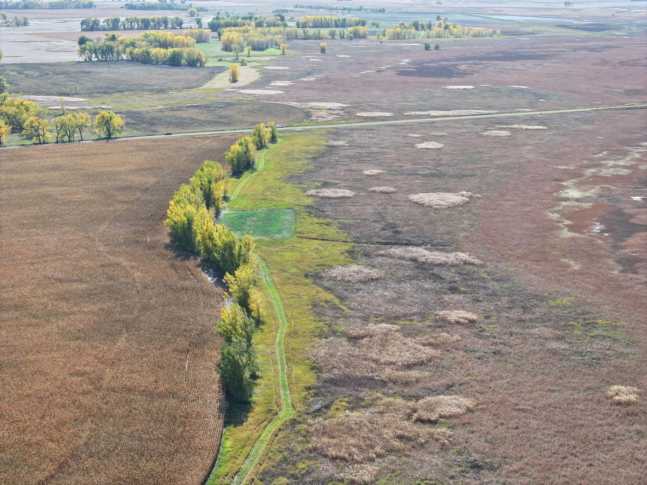 Tbd Co Rd 3 Property Photo 22