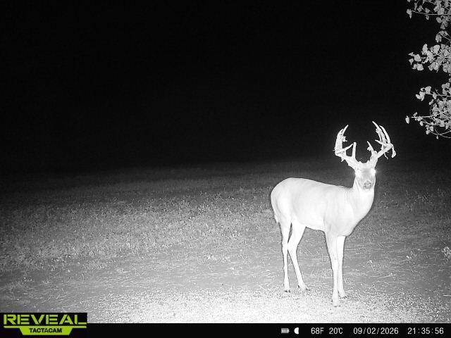 Tbd Co Rd 3 Property Photo 23