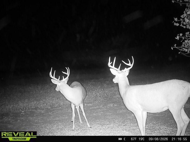 Tbd Co Rd 3 Property Photo 24