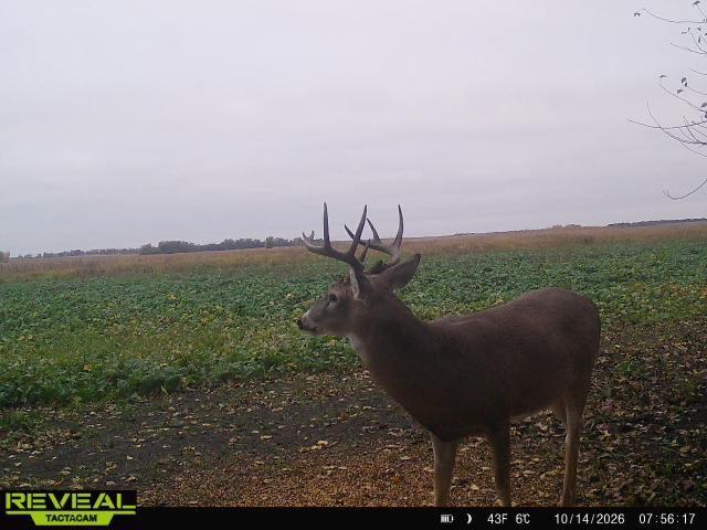 Tbd Co Rd 3 Property Photo 25
