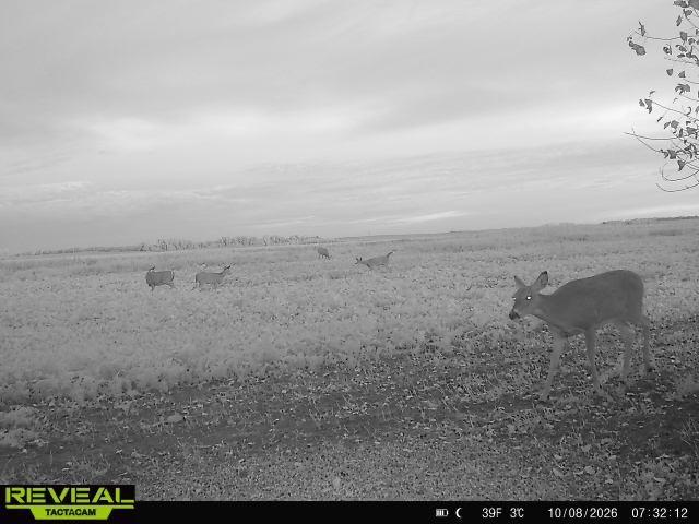 Tbd Co Rd 3 Property Photo 26