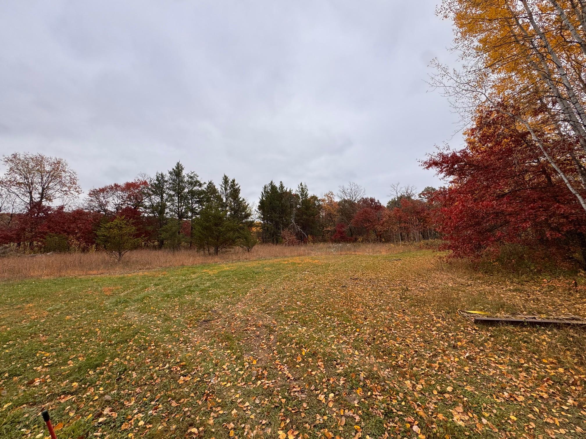 Tbd Alice Drive Property Photo 6