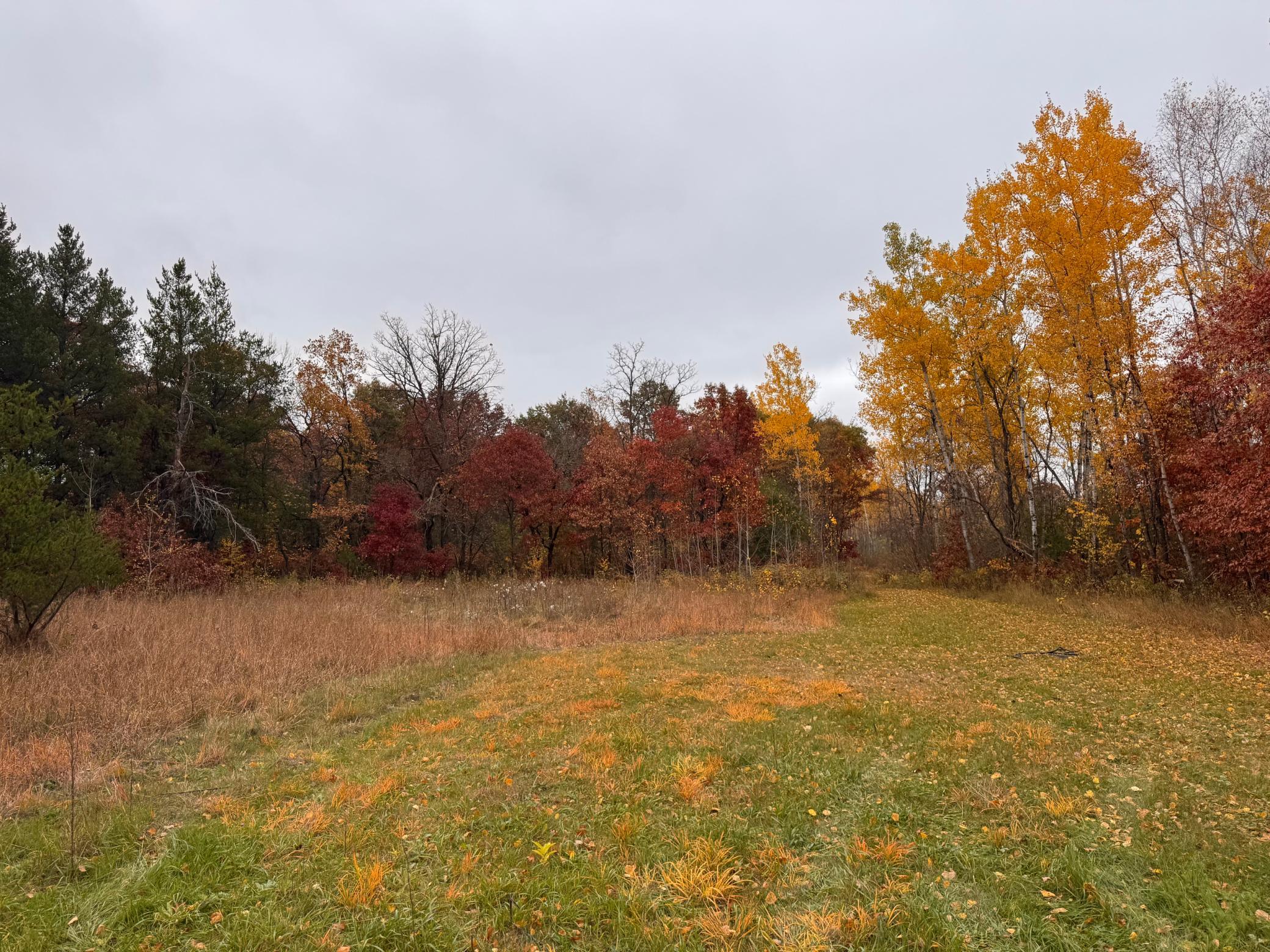 Tbd Alice Drive Property Photo 7