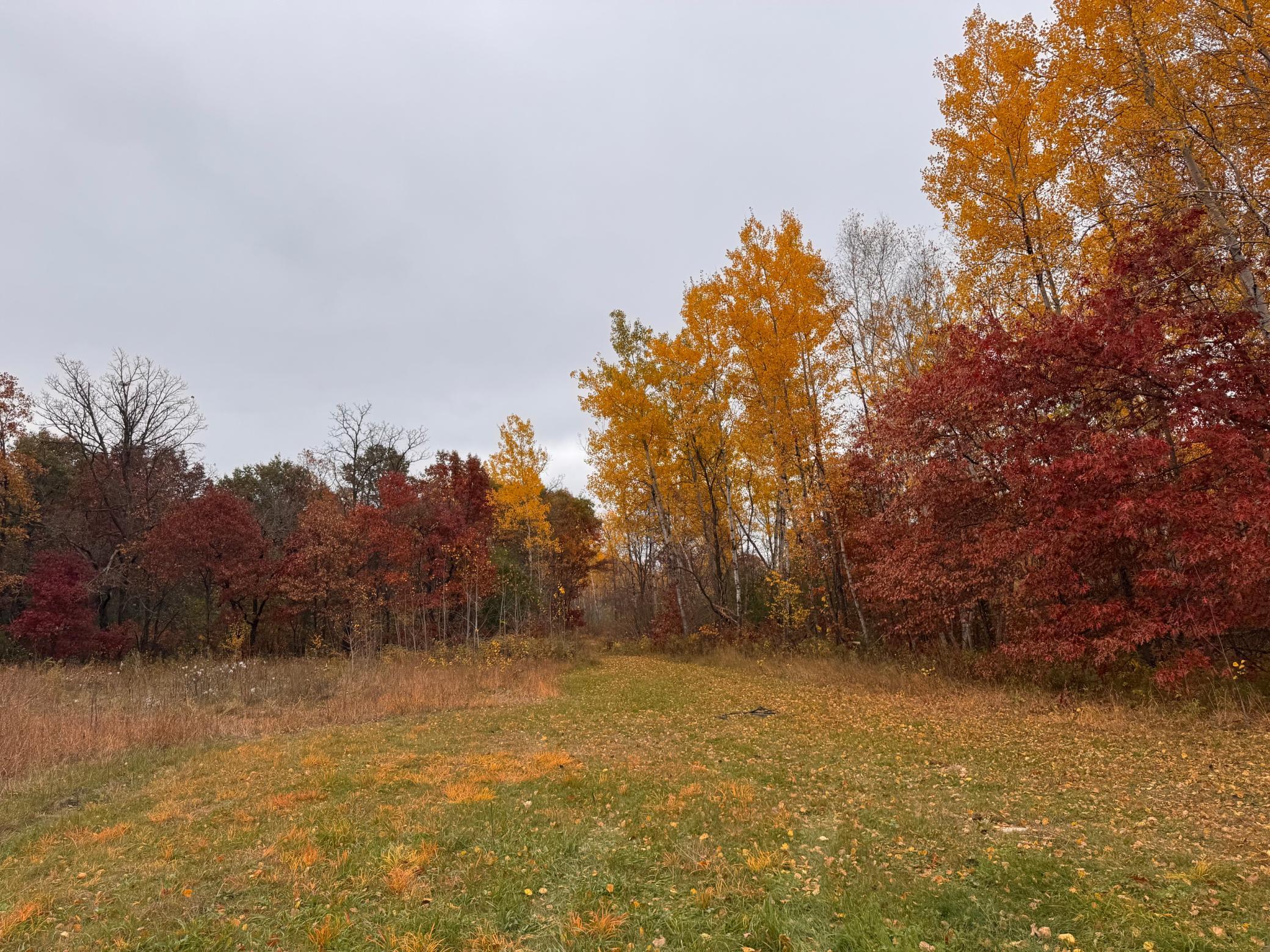 Tbd Alice Drive Property Photo 8