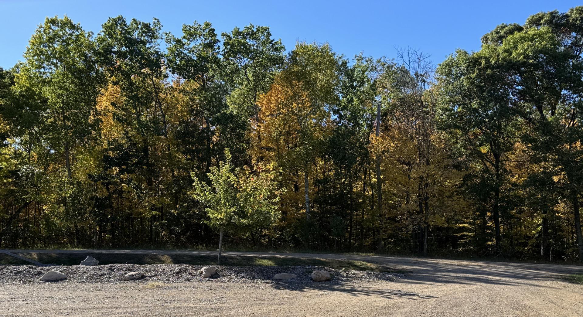 Tbd White Overlook Drive Property Photo 11