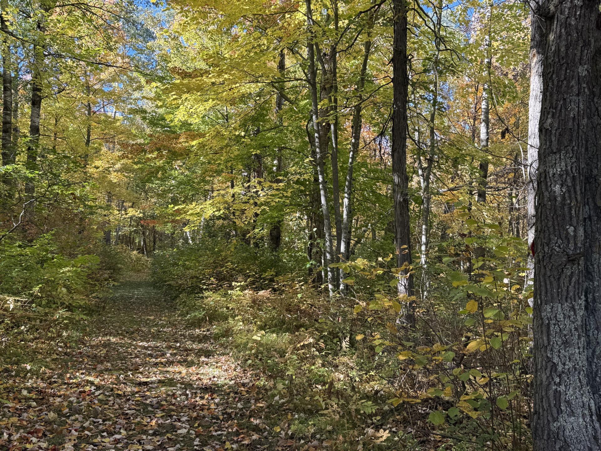 Tbd White Overlook Drive Property Photo 15
