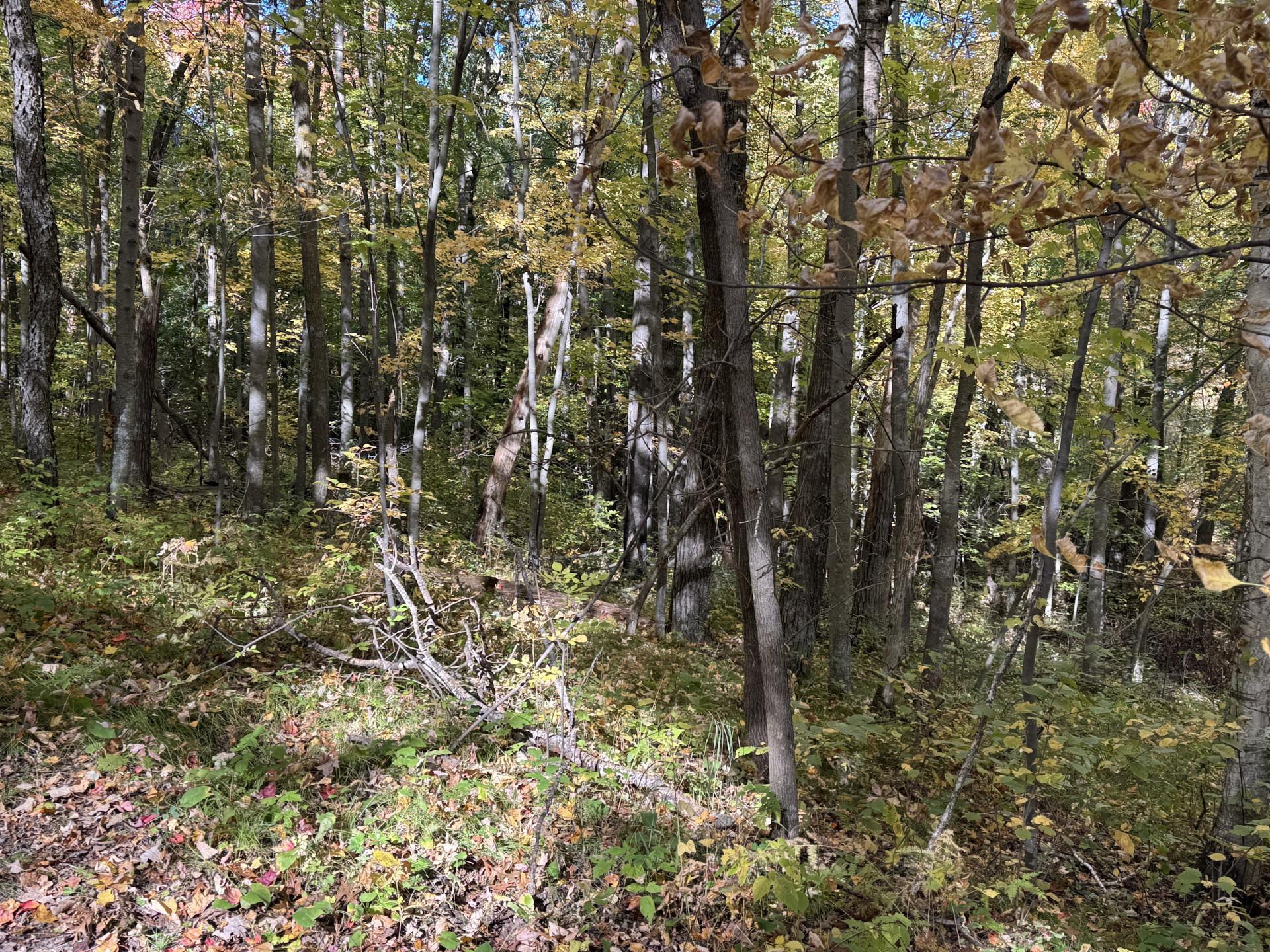 Tbd White Overlook Drive Property Photo 19