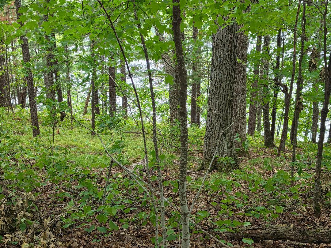 000 County Rd H Property Photo 13