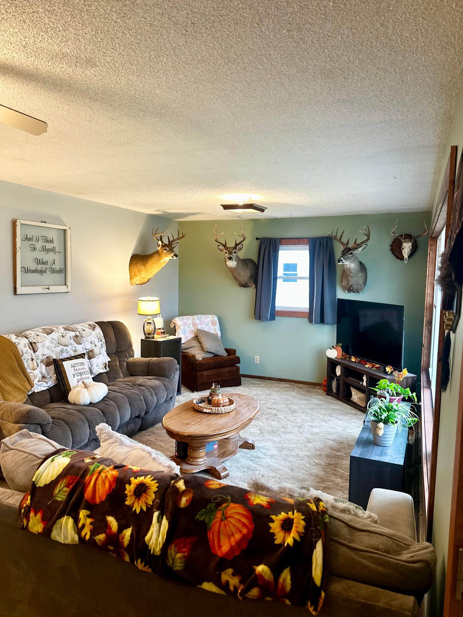 111 Muyres Avenue Property Photo 12
