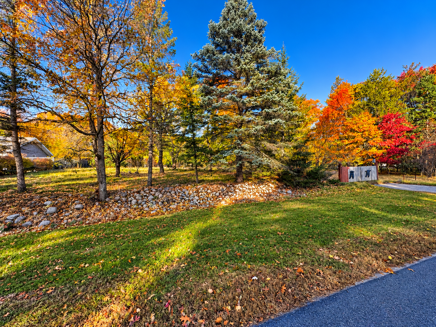 TBD Kirkwood Drive Property Photo 1