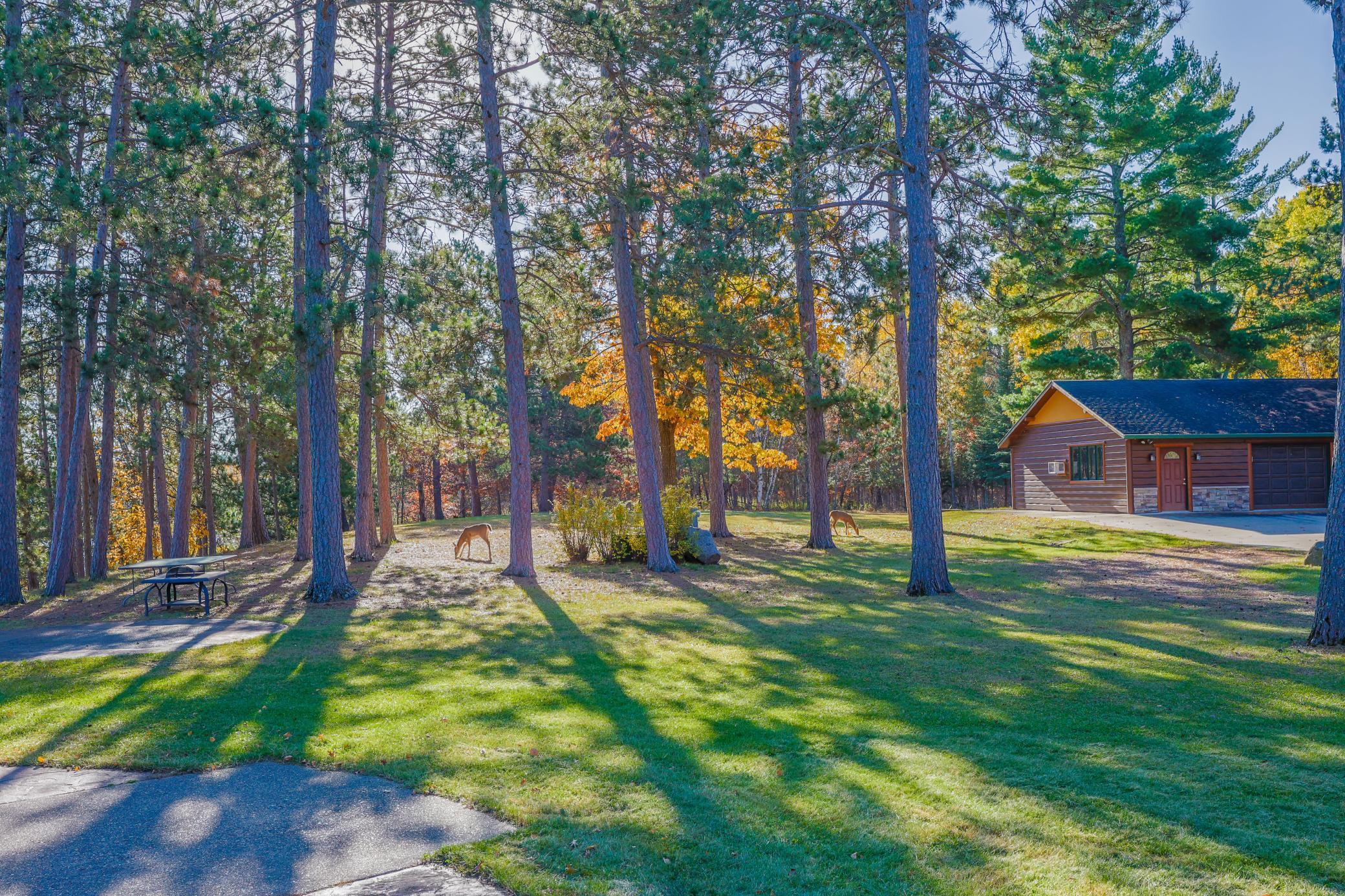 17312 County 40 Property Photo 79