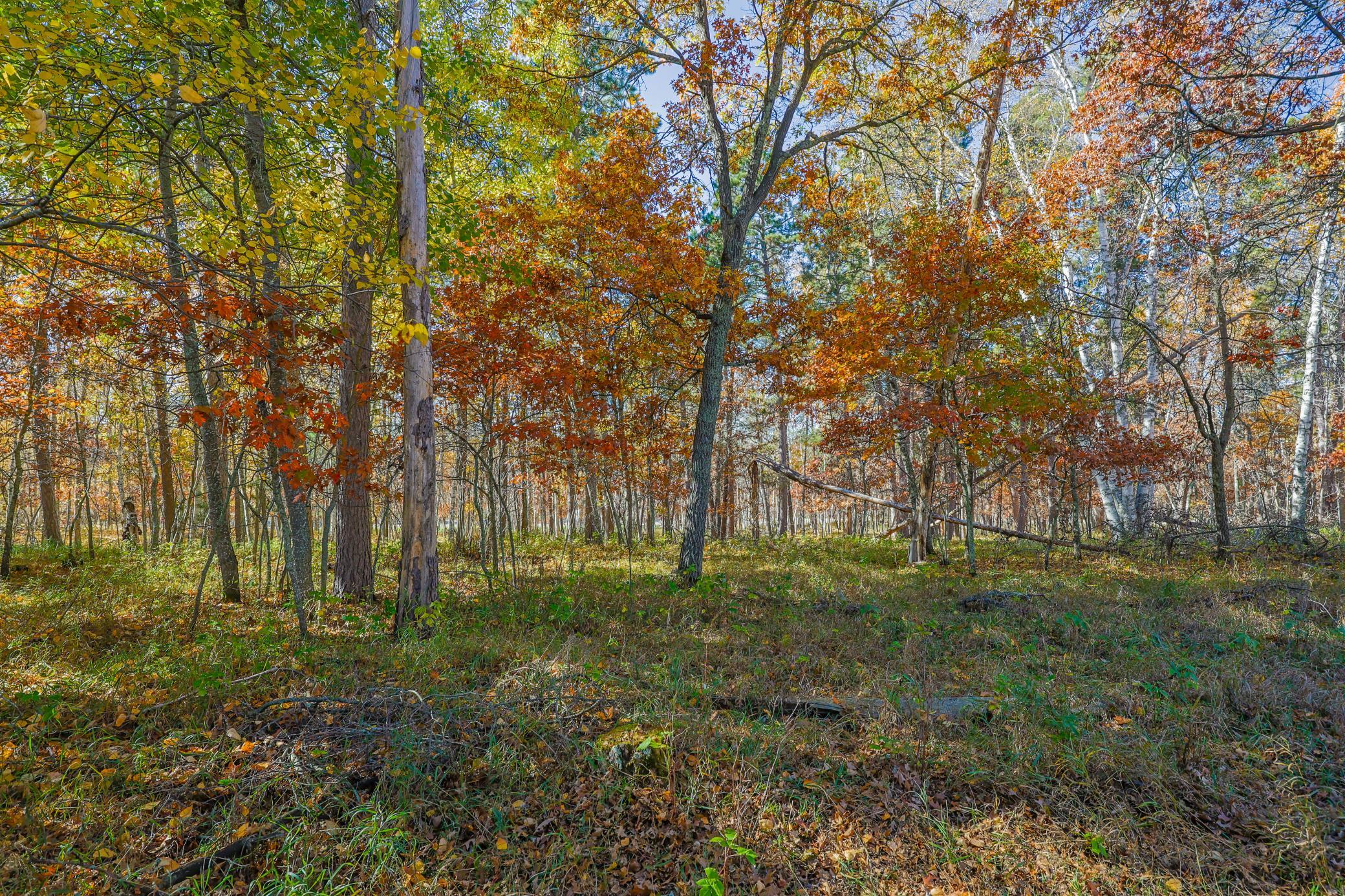 17312 County 40 Property Photo 84