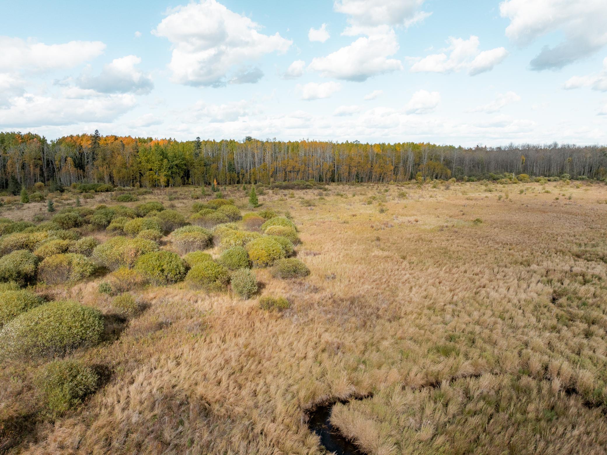 Tbd Moilan Rd Property Photo 5