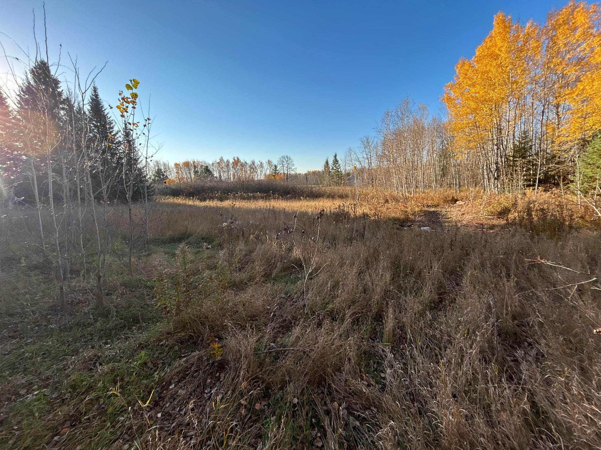 10629 Town Rd 34 Property Photo 1