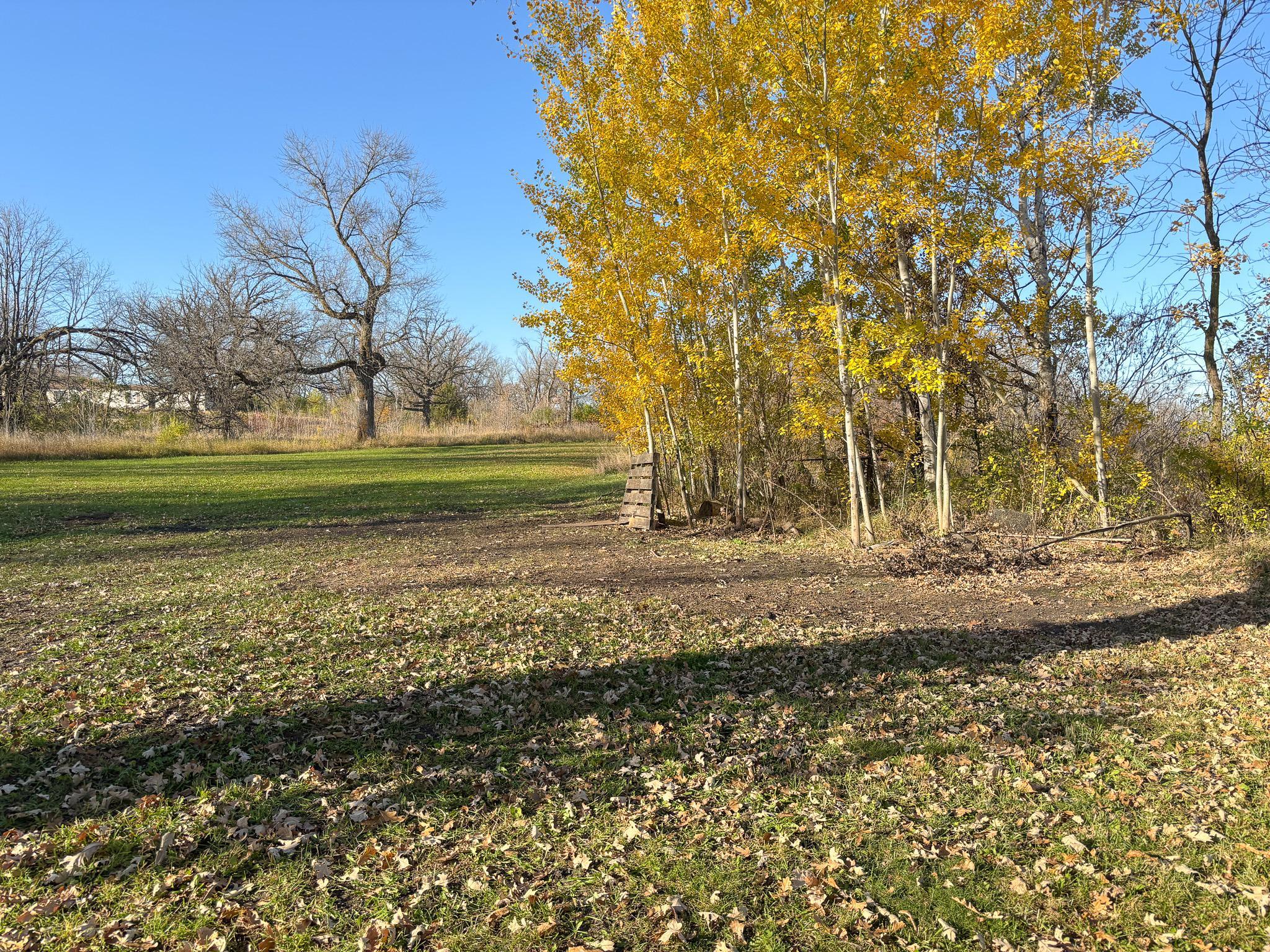 18135 Nifty Loop Property Photo 46