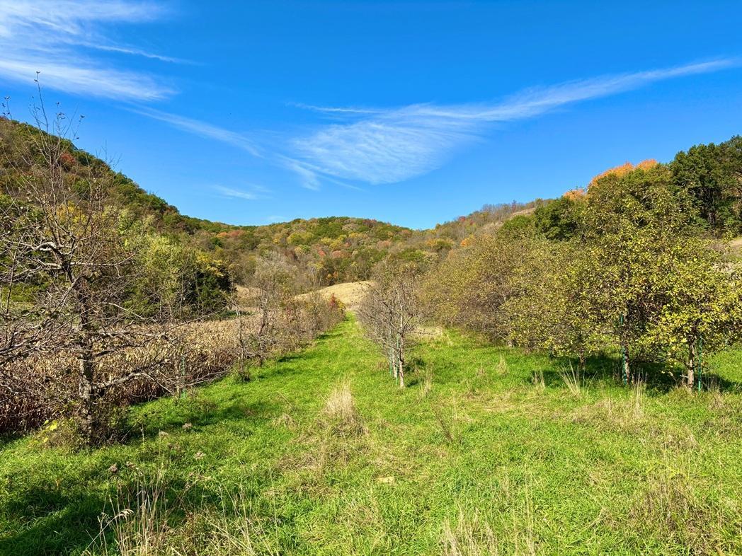 28095 Kerns Road Property Photo 9