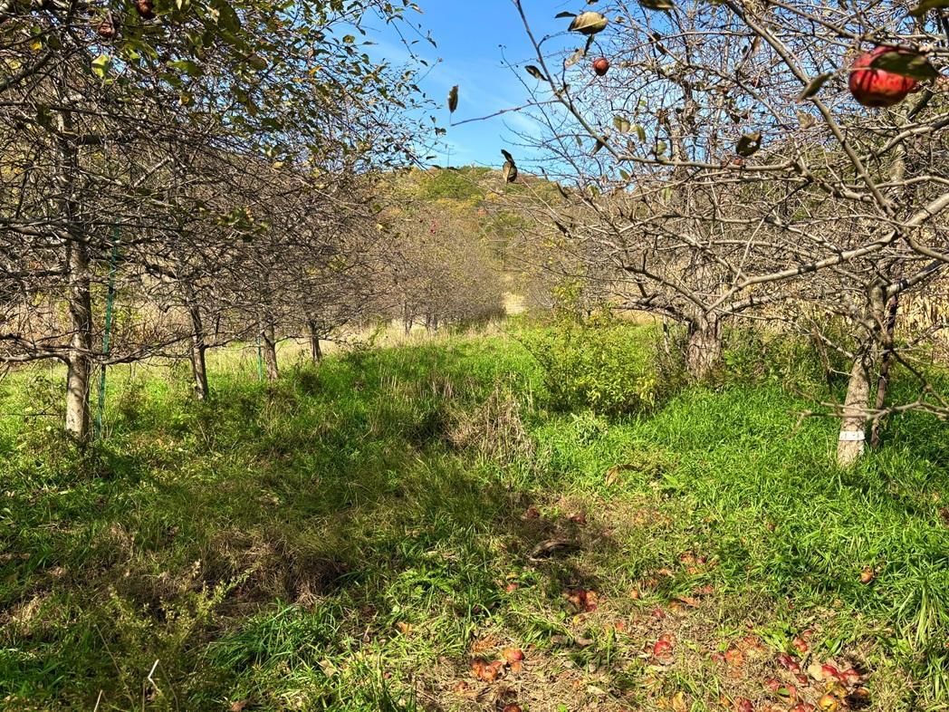 28095 Kerns Road Property Photo 19