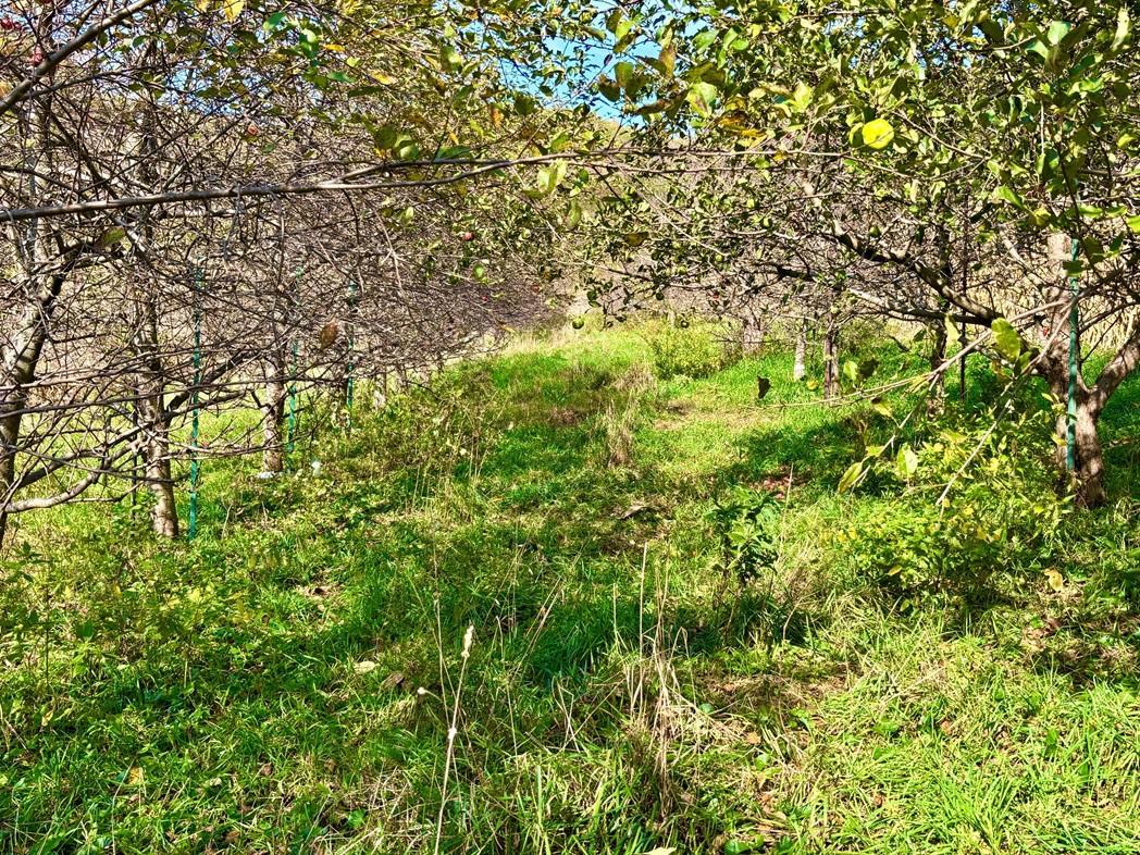 28095 Kerns Road Property Photo 25
