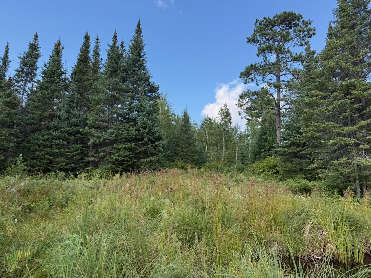 Xyz No Name Road Property Photo 2
