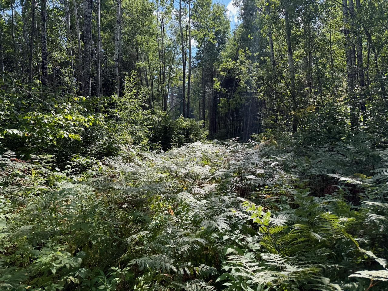 Xyz No Name Road Property Photo 3
