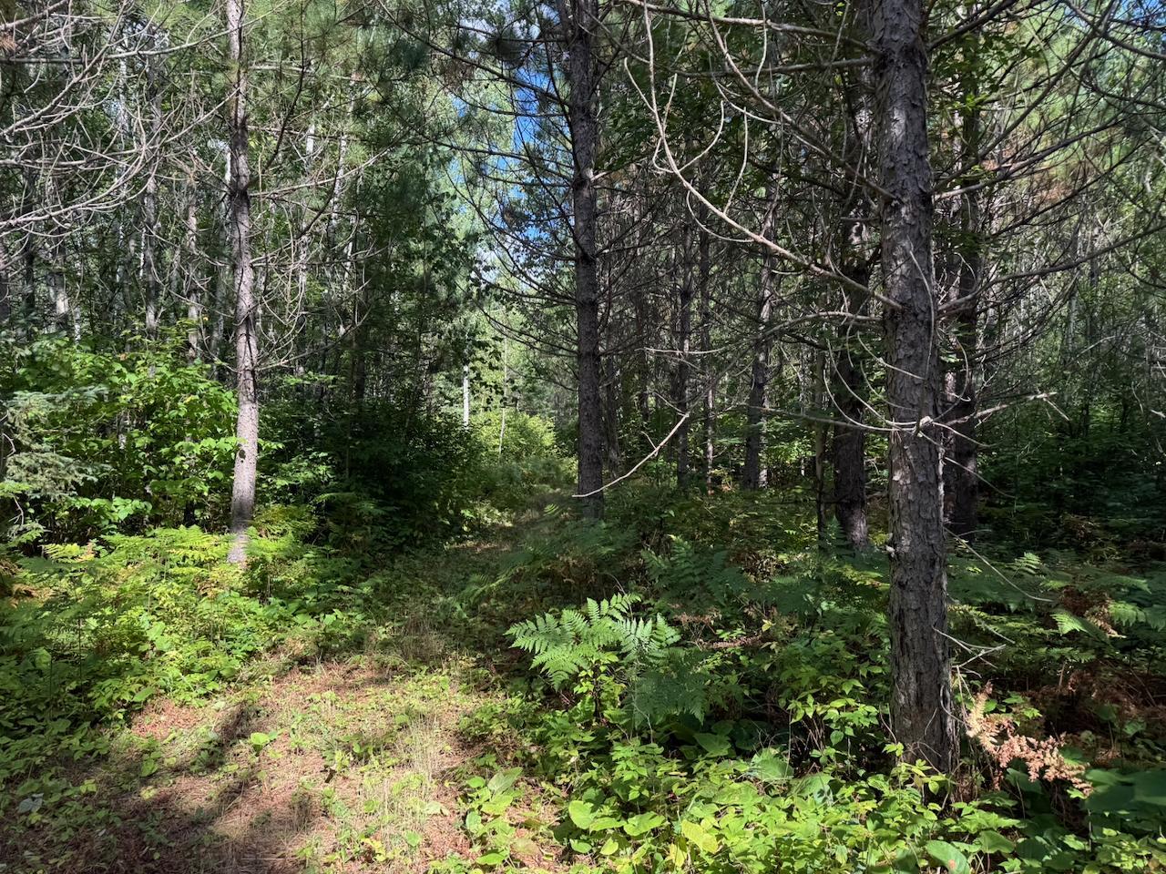Xyz No Name Road Property Photo 6