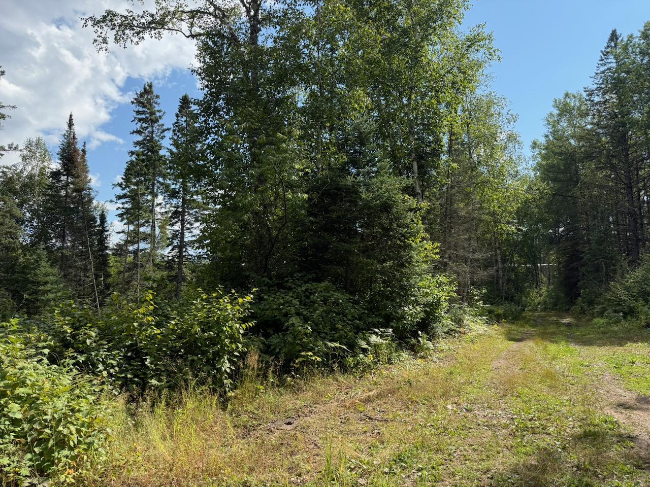 Xyz No Name Road Property Photo 7
