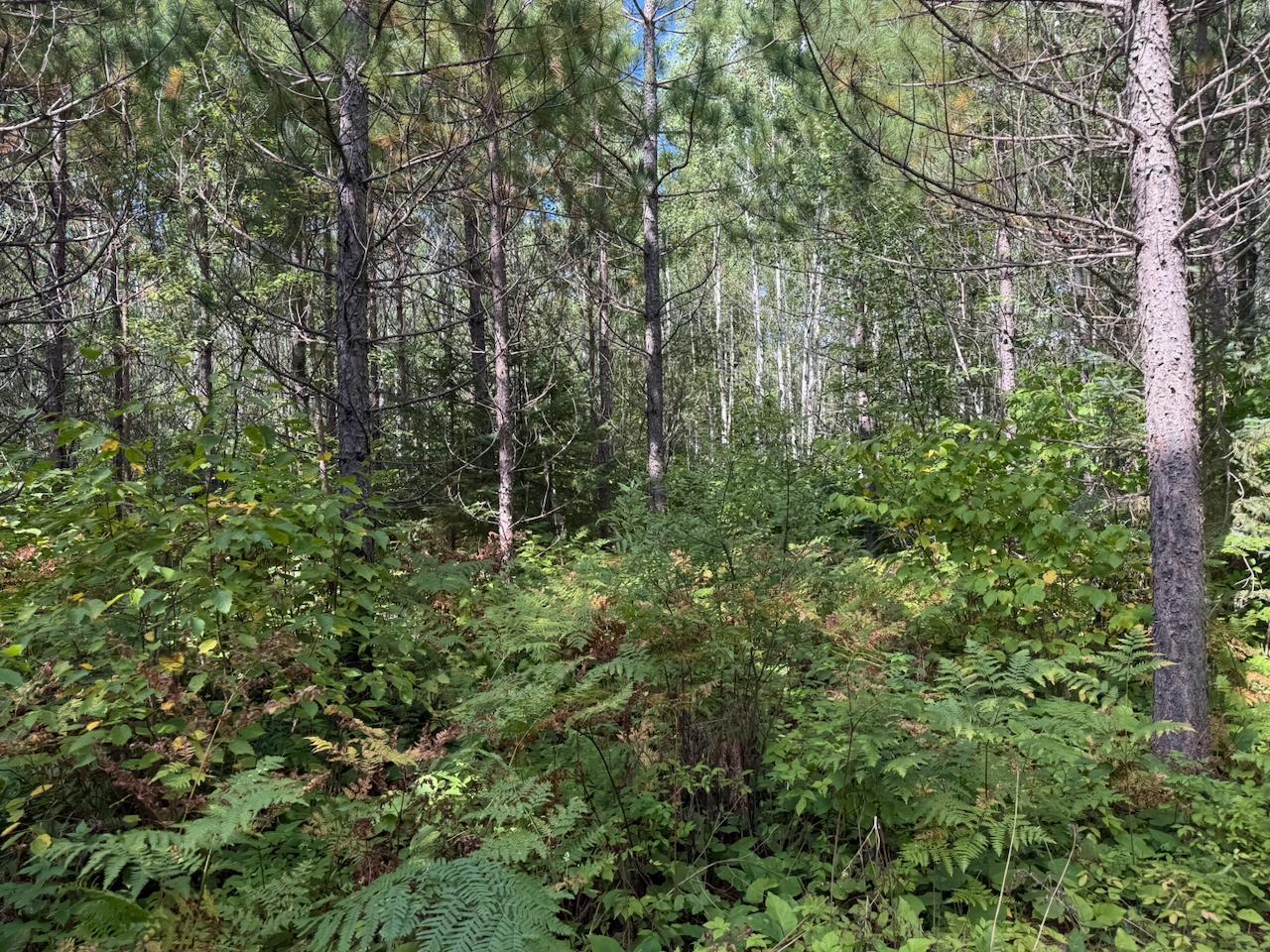 Xyz No Name Road Property Photo 10