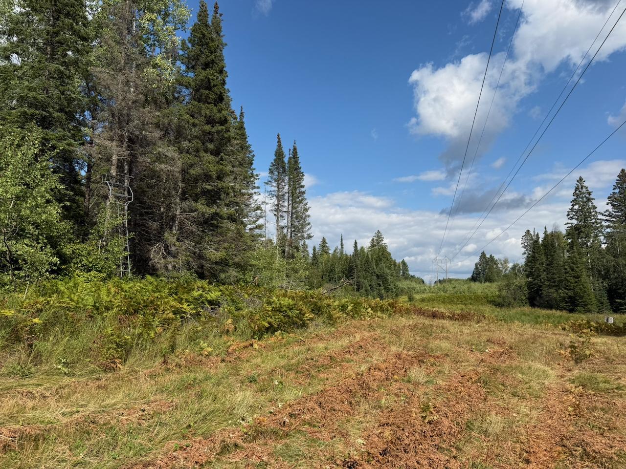 Xyz No Name Road Property Photo 11