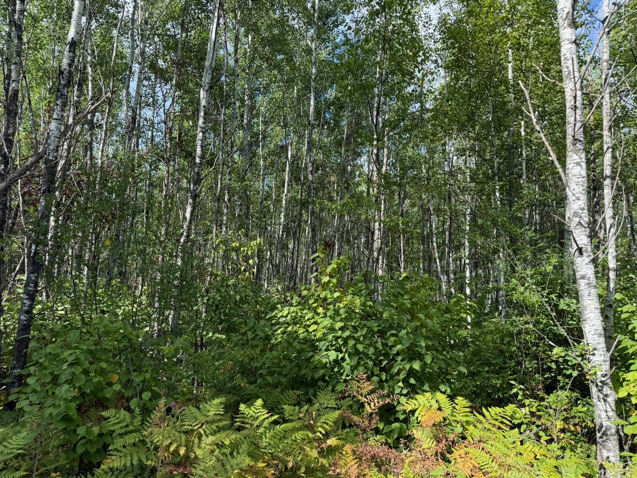 Xyz No Name Road Property Photo 12