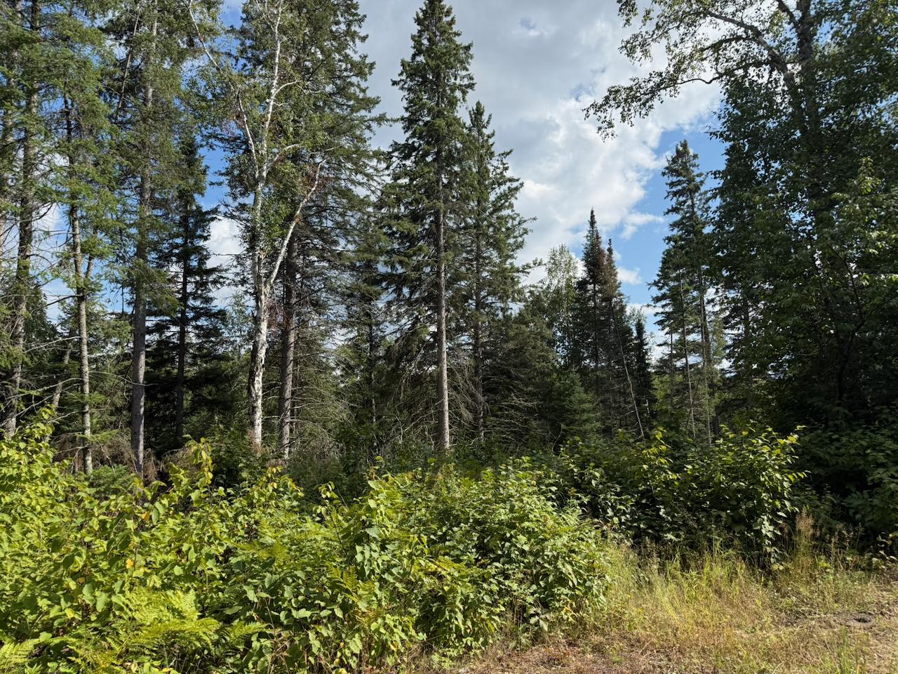 Xyz No Name Road Property Photo 13