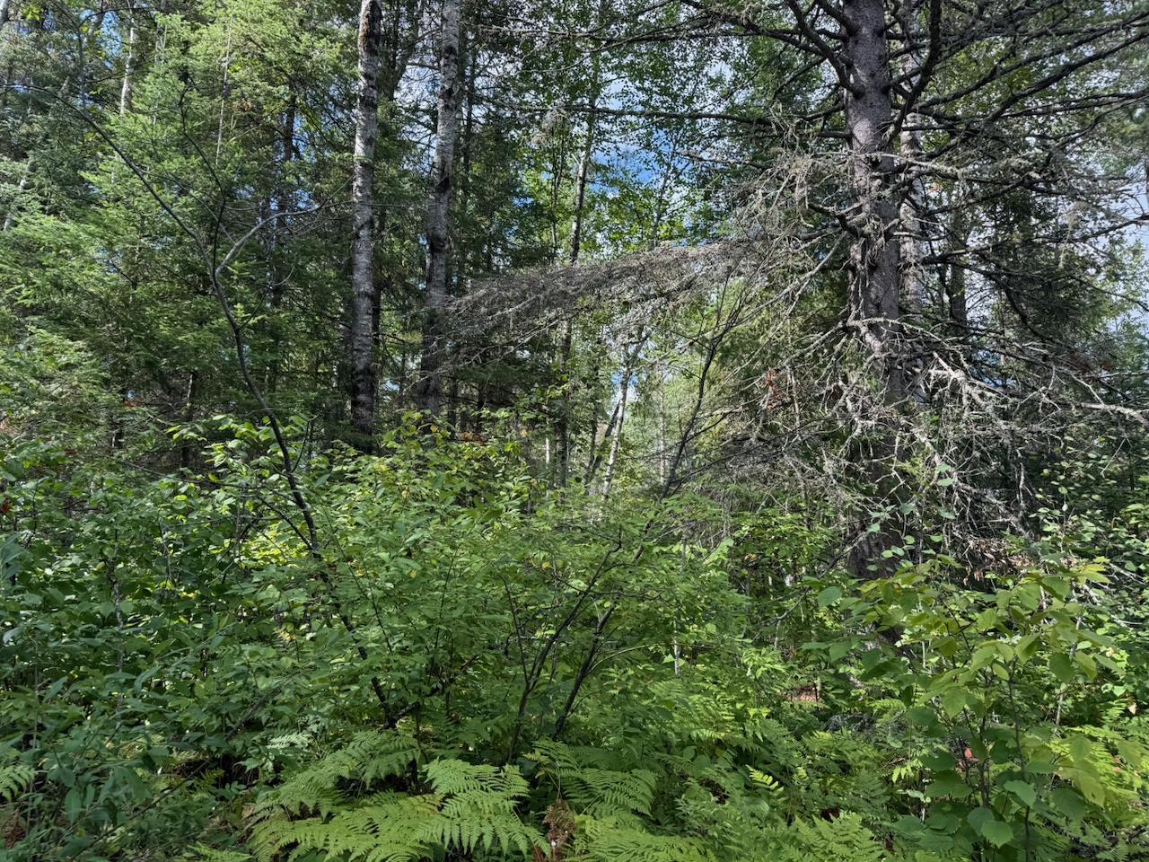 Xyz No Name Road Property Photo 14