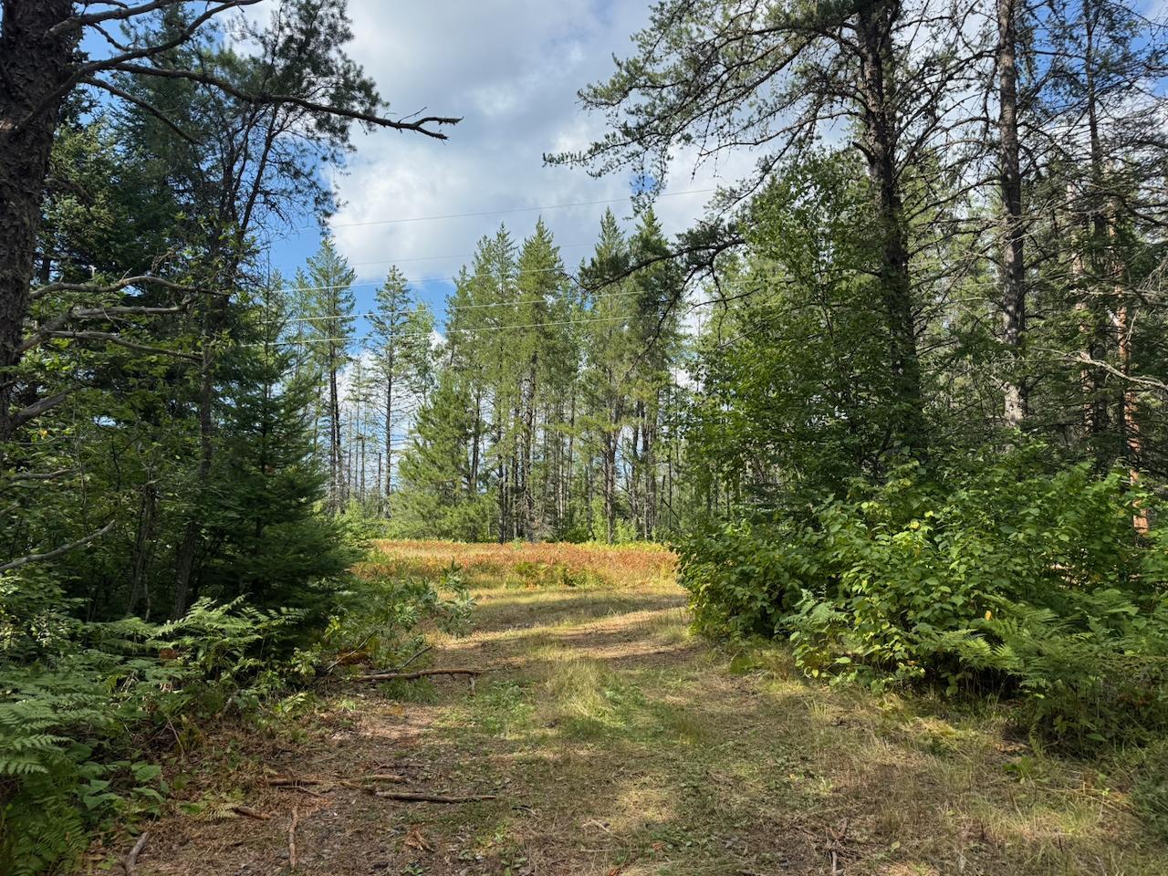 Xyz No Name Road Property Photo 15