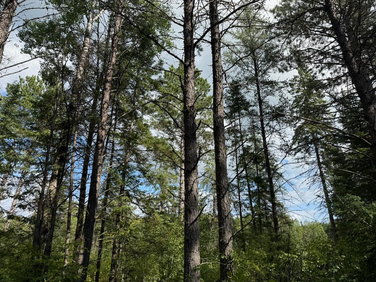 Xyz No Name Road Property Photo 16