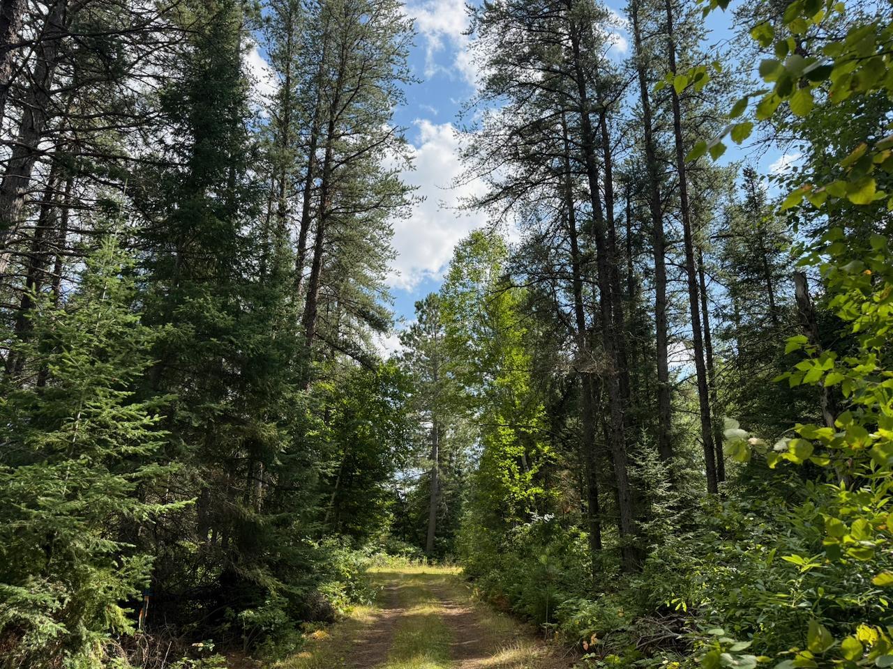 Xyz No Name Road Property Photo 17