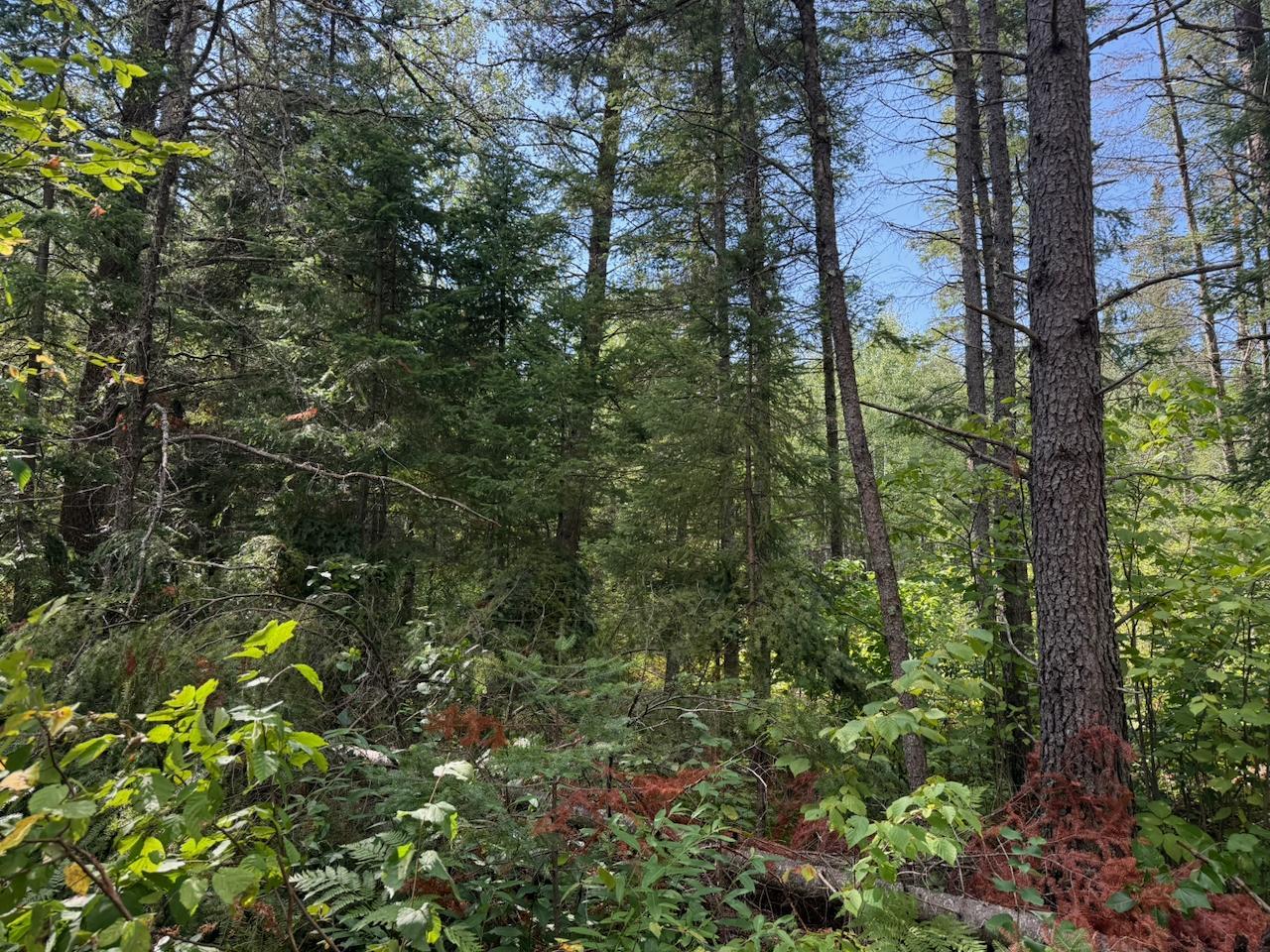 Xyz No Name Road Property Photo 18