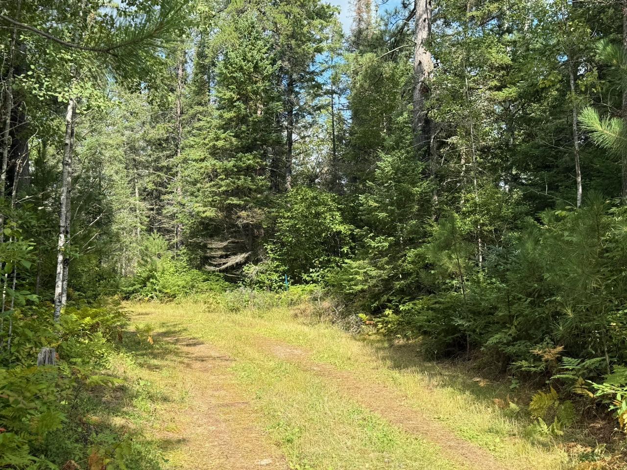 Xyz No Name Road Property Photo 19