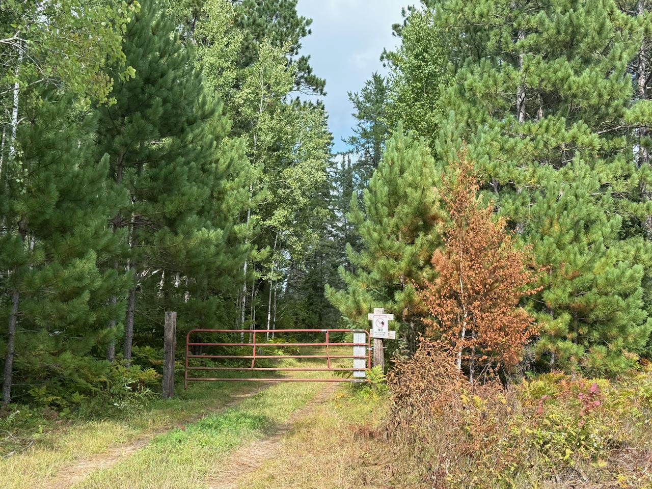 Xyz No Name Road Property Photo 20