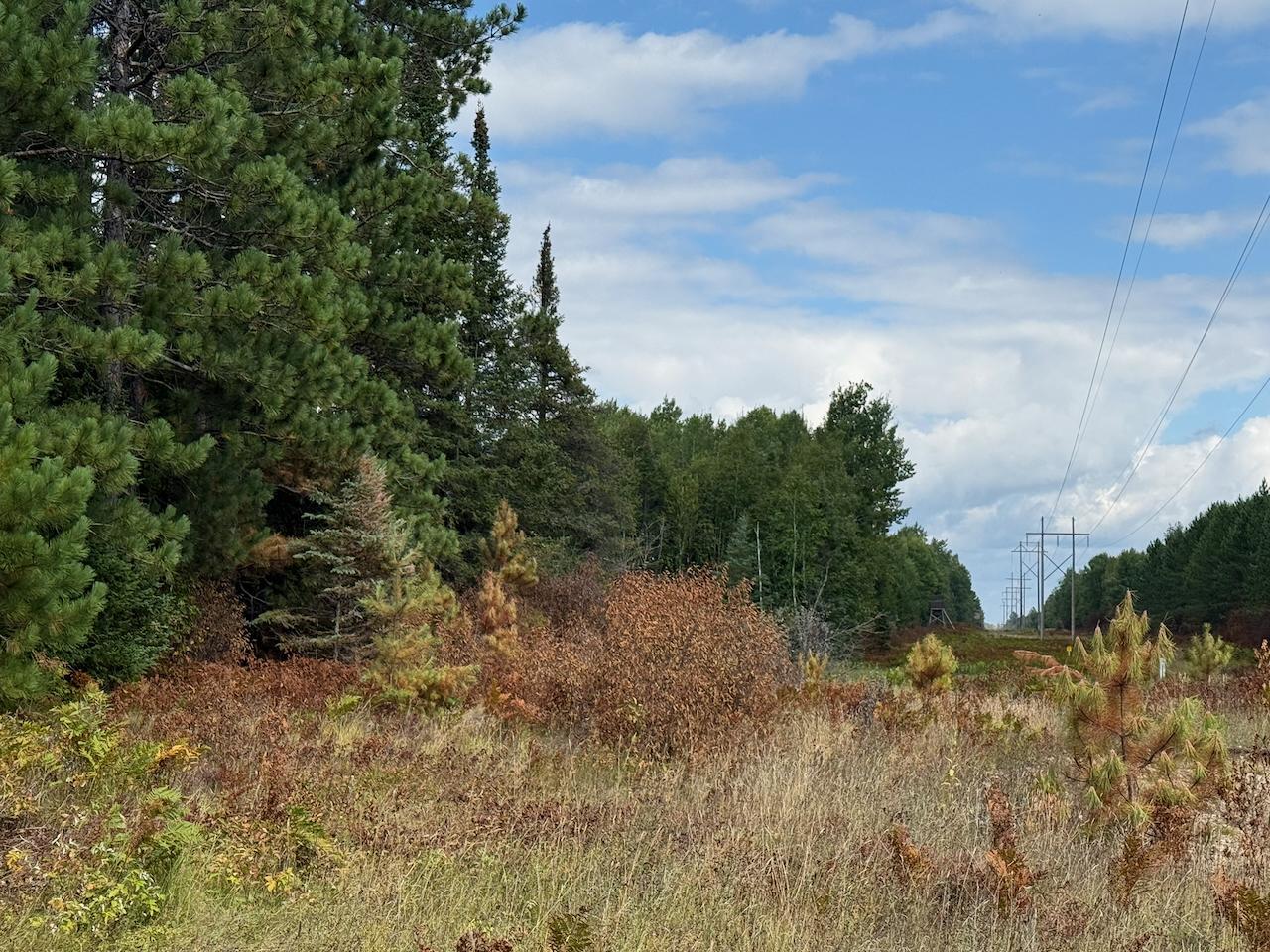 Xyz No Name Road Property Photo 21