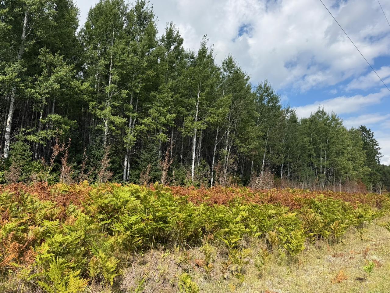 Xyz No Name Road Property Photo 22