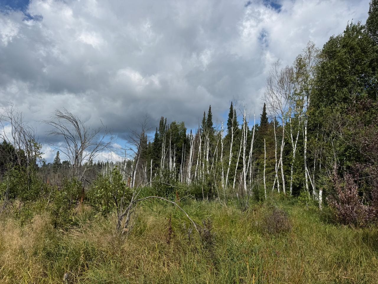 Xyz No Name Road Property Photo 23